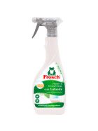 Frosch Flecken-/Vorwaschspray 500ml