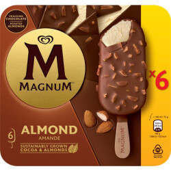 Langnese Magnum Mandel 6x100ml