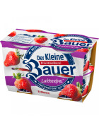 Bauer Joghurt Erdbeer laktosefrei 3,5% 4er 100g