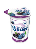 Bauer Fruchtjoghurt Heidelbeere 250g