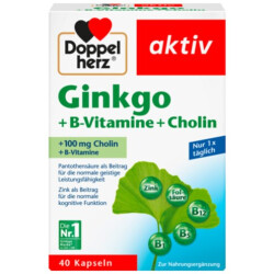 Doppelherz Ginkgo+B-Vitamine+Cholin 40er 22,2g
