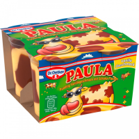 Dr.Oetker Paula Vanille mit Schokolade 4er 125g