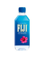Fiji Water St.0,5l