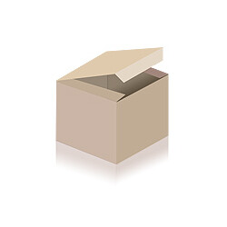 Schär Meisterbacker Mehrkorn 300g