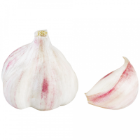 Knobl.tr.vio.Solo CN I 250g SN