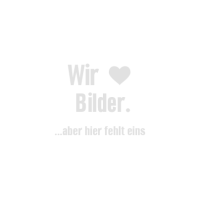 Nur Die  Blickdicht 40den Strumpfhose Fb.94 schwarz Gr.40/44