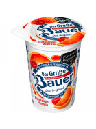 Bauer Fruchtjoghurt Blutorange Acerola 250g