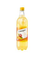 Schweppes Fruity Citrus Orange 1 l Flasche
