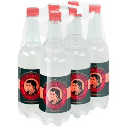 Thomas Henry Spicy Gin 6 x 0,75 l Flasche