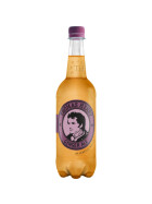 Th.Henry Ging.Ale 0,75l DPG