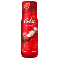 Gut & Günstig Sirup Cola 0,5l PET