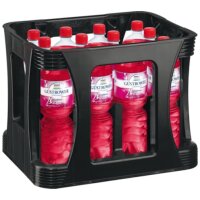 Güstrower Schlossquell Himbeerbrause 12x1l Kiste