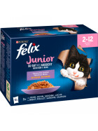 Felix Junior so gut wie es aussieht Gemischte Vielfalt 12x85g