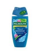 Palmolive Duschgel Wellness Massage 250ml