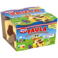 Dr.Oetker Paula Vanille mit Schoko 4x125g